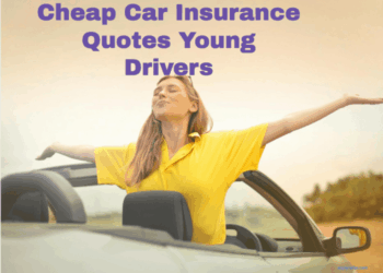 Cheap Car Insurance for Young Male Drivers in 2026 (Top 10 Companies ...
