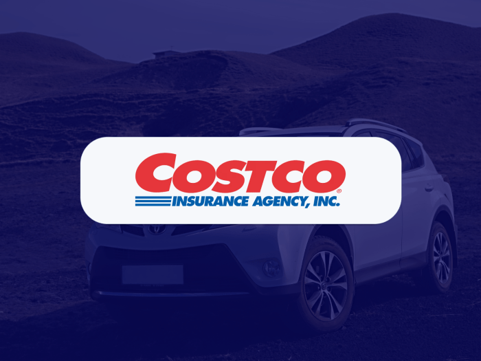 Costco Car Quotes